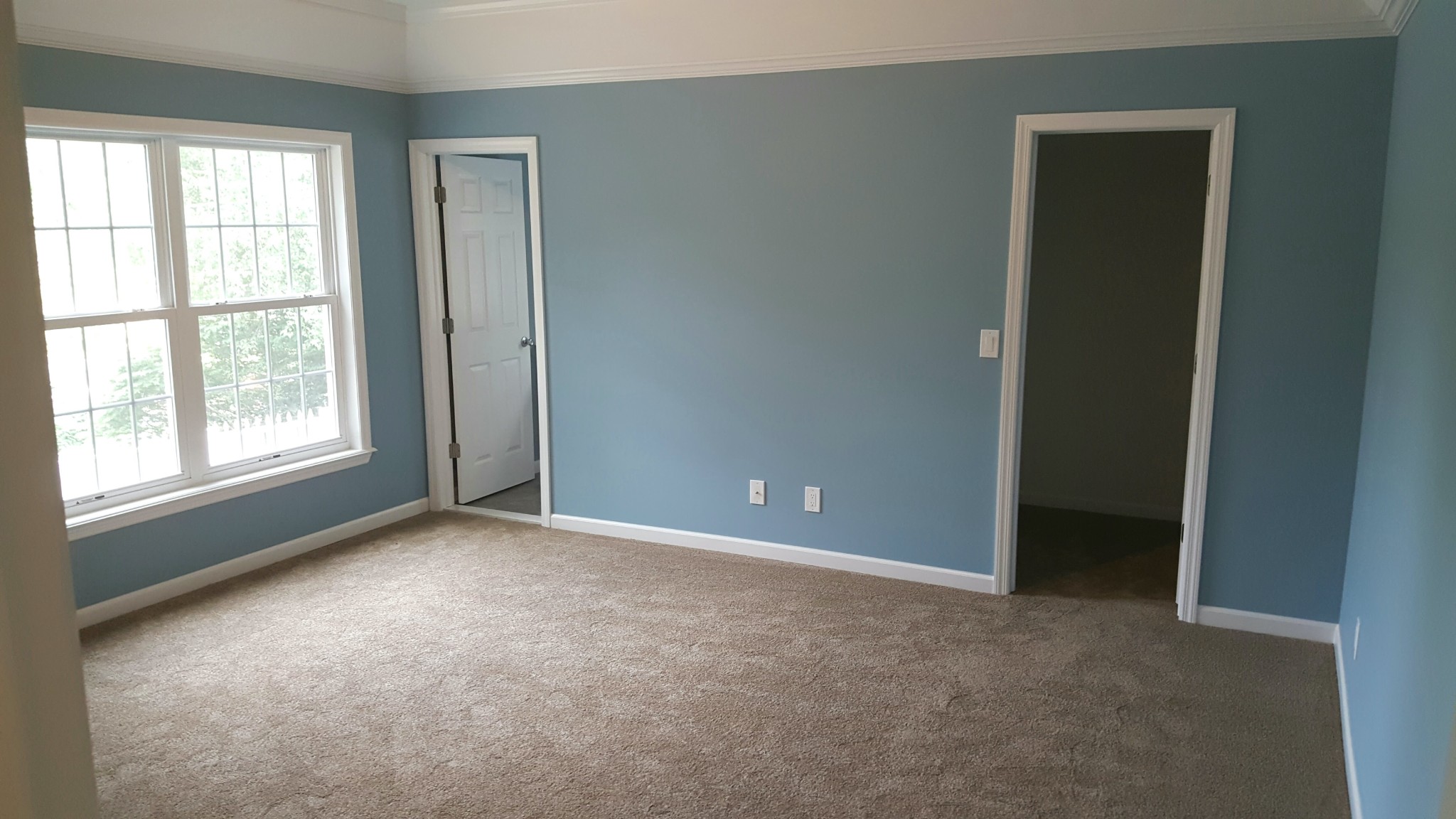 Light blue walls with white crown molding, baseboards, door frames, and window trim.