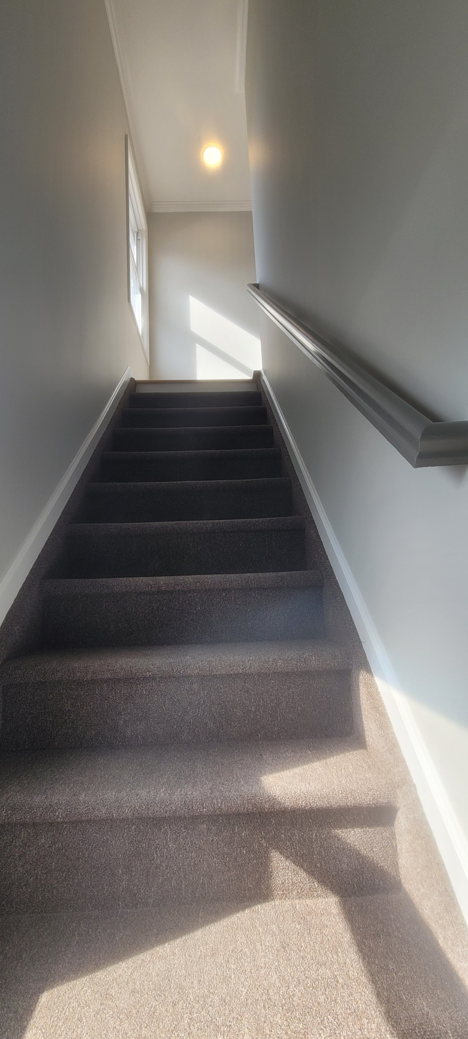 Staircase with painted light gray walls, white crown molding, and white baseboards.